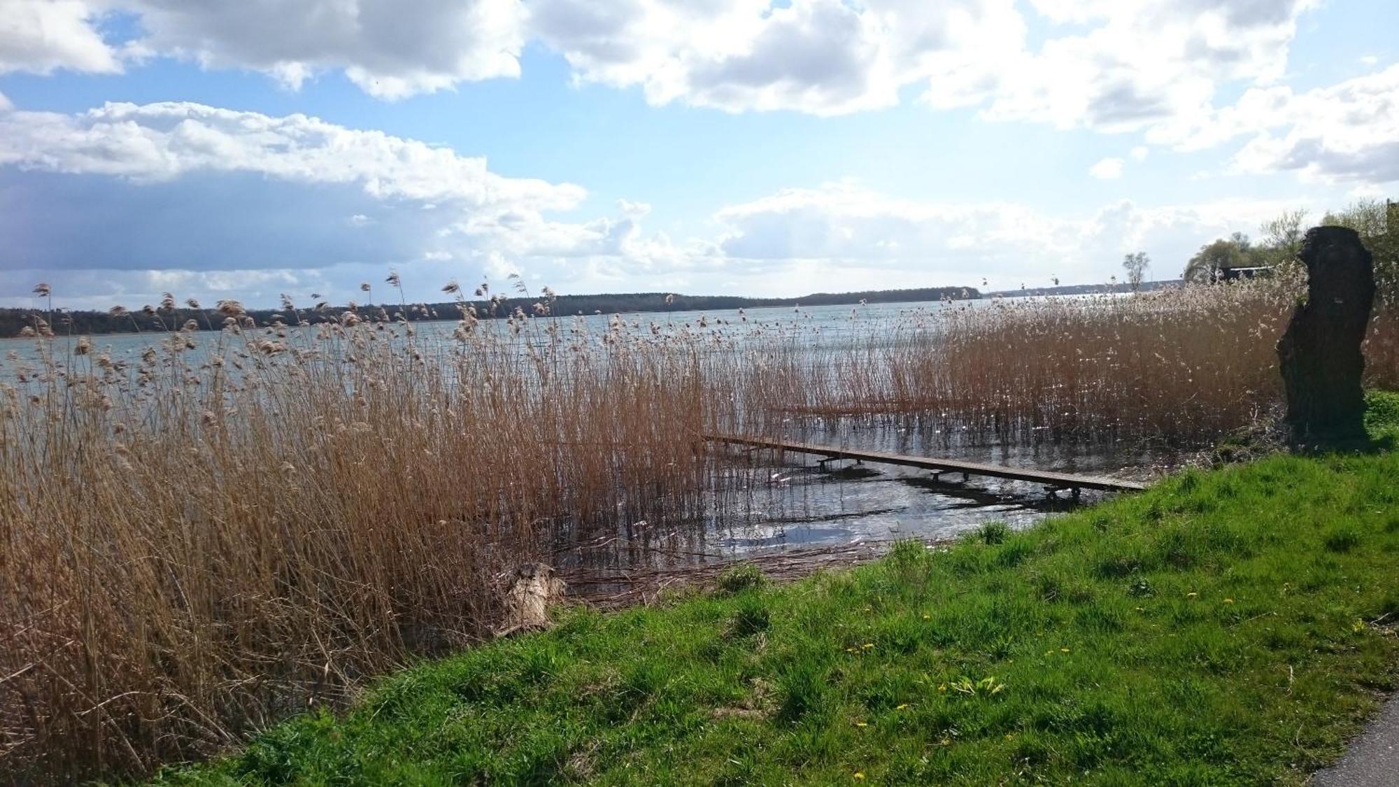 Idyll Im Land Der 1000 Seen Liessow  Exterior foto